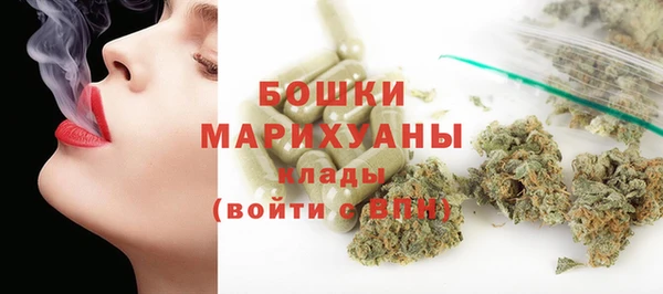 индика Алексеевка