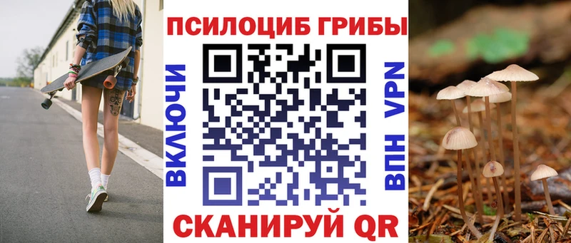 мориарти какой сайт  Перевоз  Галлюциногенные грибы MAGIC MUSHROOMS 
